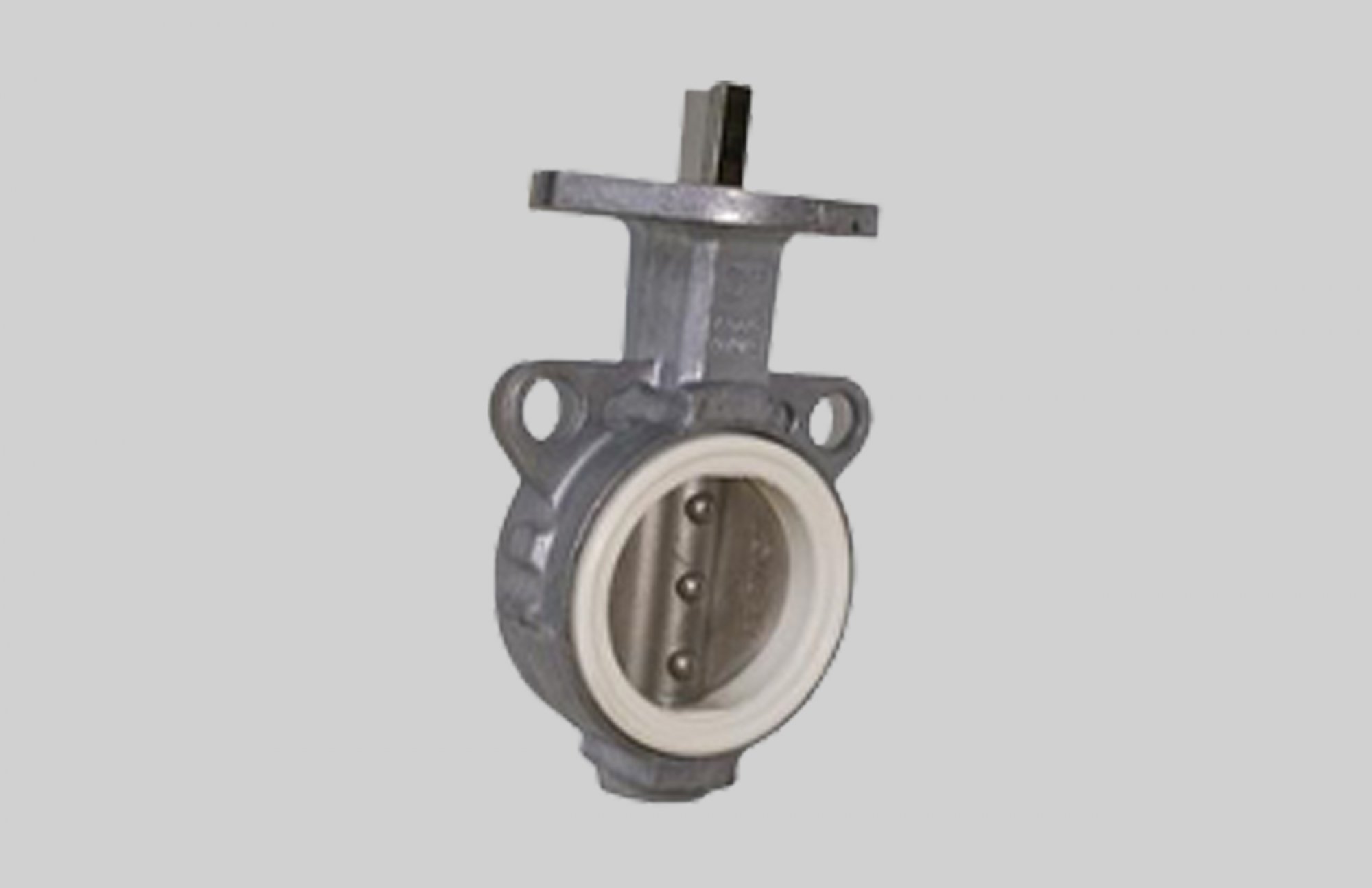 Butterfly Valve - Stainless Disc / MAXX Temp White Rubber