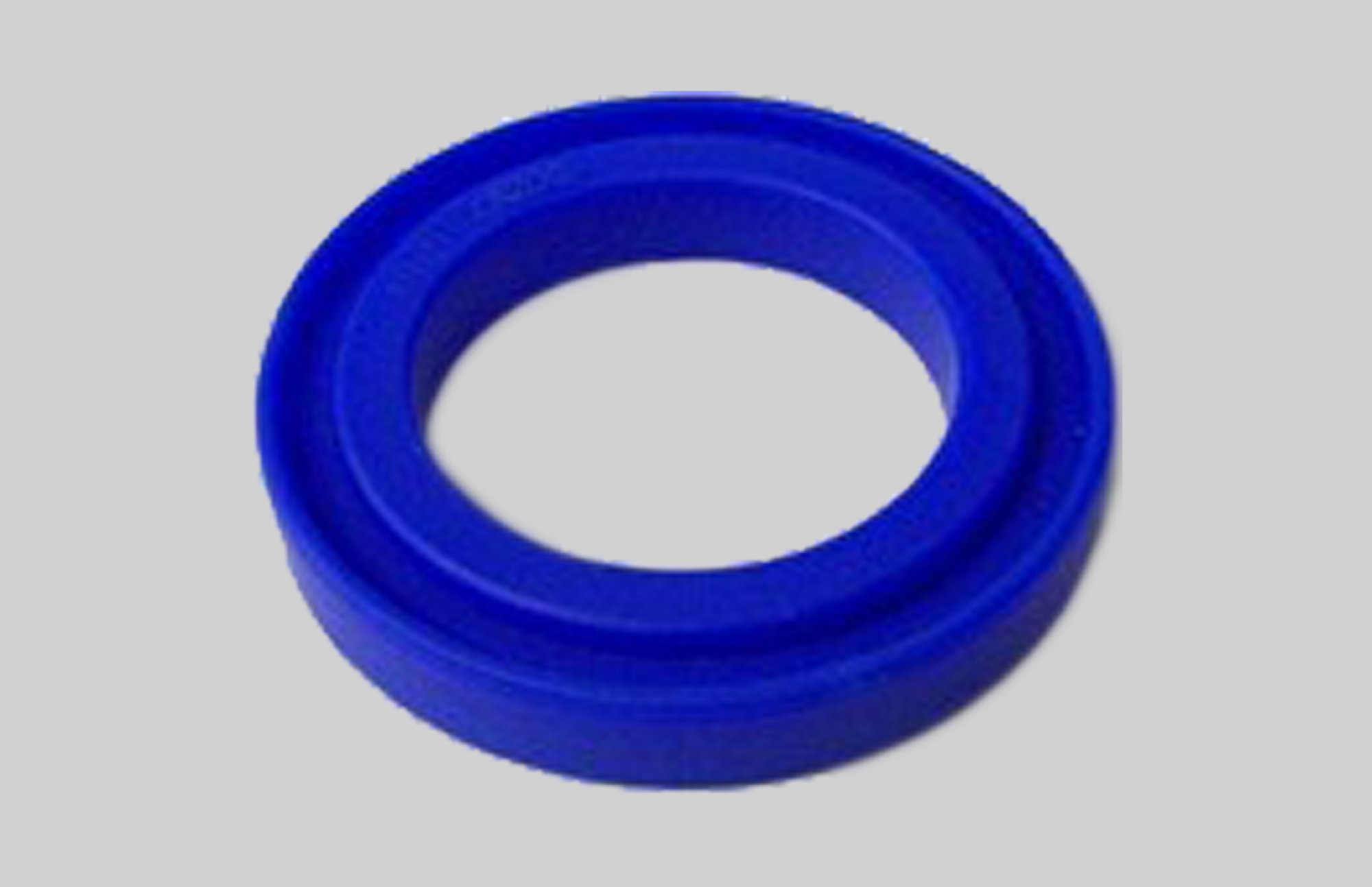 Port Housing Gasket