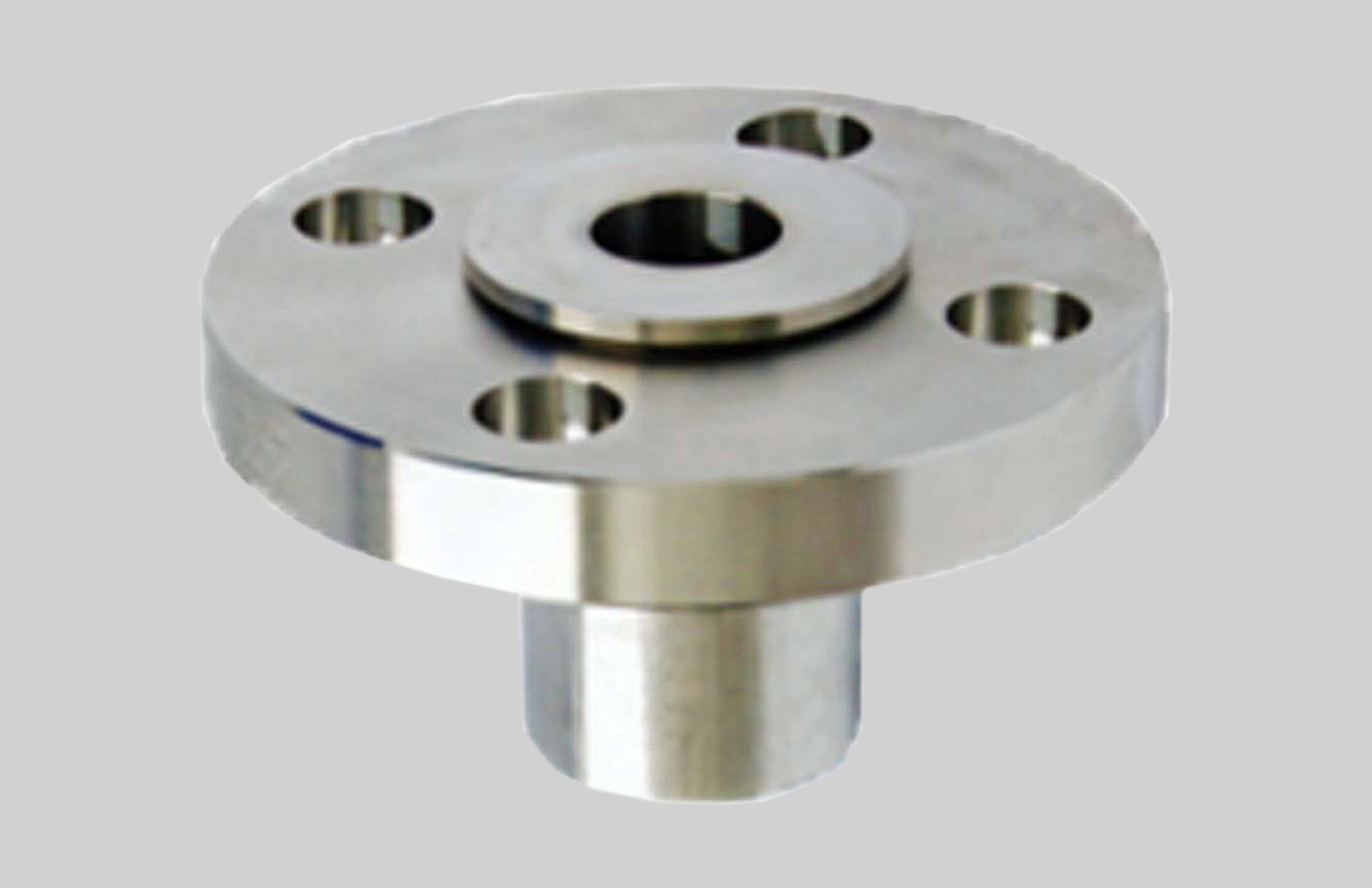 Sanitary Swivel Flange